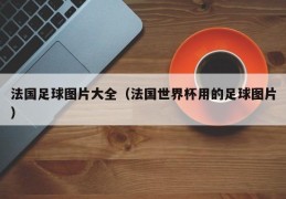 法国足球图片大全（法国世界杯用的足球图片）