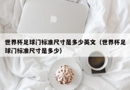 世界杯足球门标准尺寸是多少英文（世界杯足球门标准尺寸是多少）