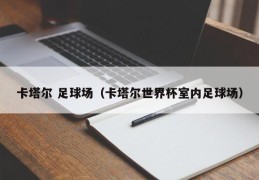 卡塔尔 足球场（卡塔尔世界杯室内足球场）