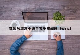 魏紫风澹渊小说全文免费阅读（weiz）