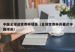 中国足球进世界杯球员（足球世界杯开幕式中国球员）