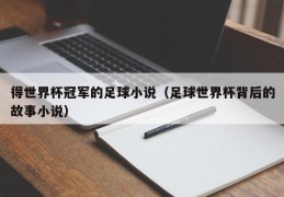 得世界杯冠军的足球小说（足球世界杯背后的故事小说）