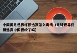 中国国足世界杯预选赛怎么出线（足球世界杯预选赛中国晋级了吗）