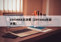 1993NBA总决赛（1993nba东部决赛）