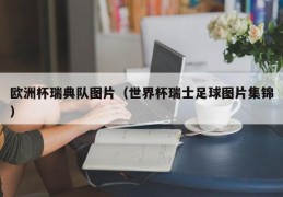 欧洲杯瑞典队图片（世界杯瑞士足球图片集锦）