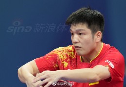 世乒赛樊振东马龙赢球 中国3-0斯洛文尼亚得3连胜_乒乓球_竞技风暴