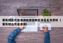 雾失楼台月迷津渡桃源望断无寻处名句赏析（雾失楼台月迷津渡）