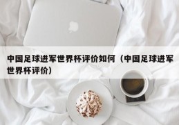 中国足球进军世界杯评价如何（中国足球进军世界杯评价）