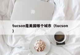 tucson是美国哪个城市（tucson）