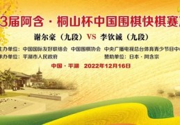 14:30直播阿含桐山杯决赛：谢尔豪VS李钦诚_围棋_竞技风暴