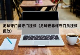 足球守门员守门视频（足球世界杯守门员视频回放）