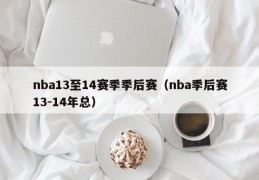 nba13至14赛季季后赛（nba季后赛13-14年总）