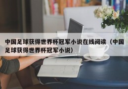 中国足球获得世界杯冠军小说在线阅读（中国足球获得世界杯冠军小说）