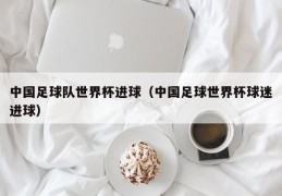 中国足球队世界杯进球（中国足球世界杯球迷进球）