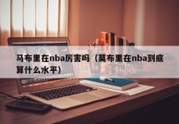 马布里在nba厉害吗（莫布里在nba到底算什么水平）