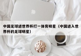 中国足球进世界杯打一体育明星（中国进入世界杯的足球明星）