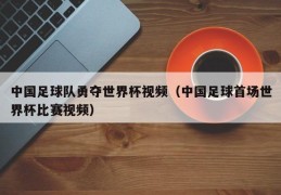 中国足球队勇夺世界杯视频（中国足球首场世界杯比赛视频）