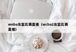 wnba女篮比赛直播（wcba2女篮比赛直播）