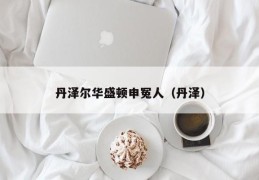 丹泽尔华盛顿申冤人（丹泽）