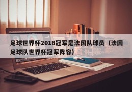 足球世界杯2018冠军是法国队球员（法国足球队世界杯冠军阵容）