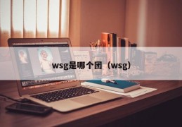 wsg是哪个团（wsg）