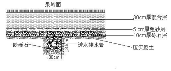 USGA果岭断面